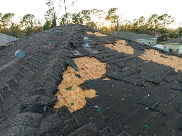 Best Roof Ventilation Installation  in Hapeville, GA